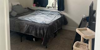 Spencer's room