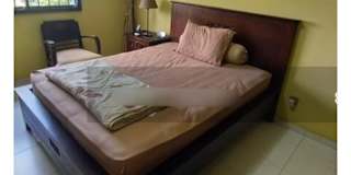 Ted's room