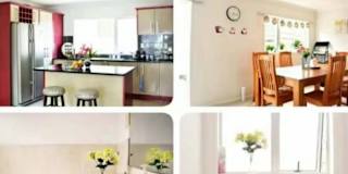 Lily bo's room