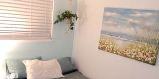 Susan Cook's room