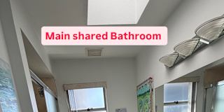 Sharlin's room