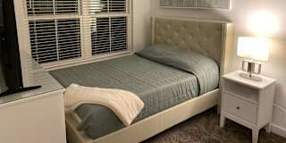 David's room