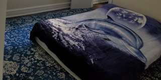Dee's room