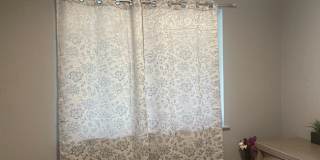 Mitshe Totaan's room