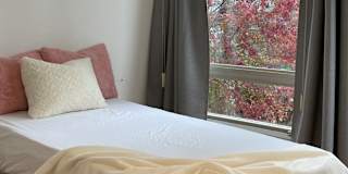 Van House's room