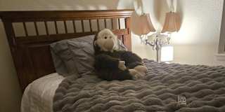 Irene king's room