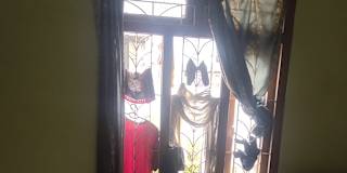 Manoj Deb's room