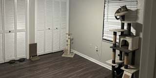 Cheyleen Anez martinez's room