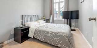 Ann's room