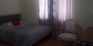 Lita Vanwyk's room