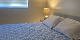 Cecilia Solomon's room