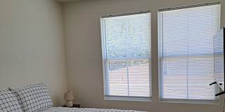 Daniela's room