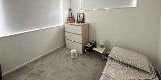 Sheba's room