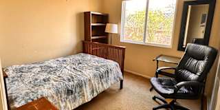 Sholeh's room