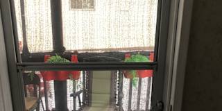 Carla's room