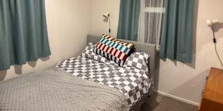 Shane's room