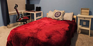 Ludmila's room