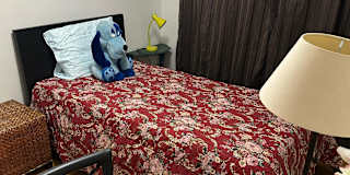 Zon's room