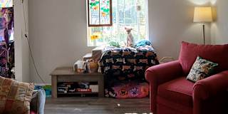 Summer's room