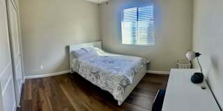 Shirley's room
