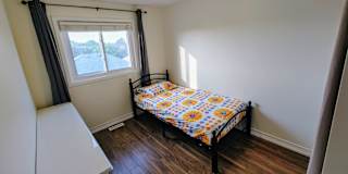 Andrew D's room