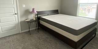 Amit's room