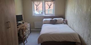 Shelly's room