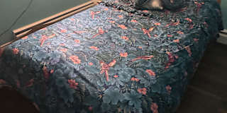 Tasha Hillman's room