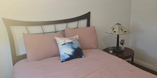 Sheri-Jerry's room