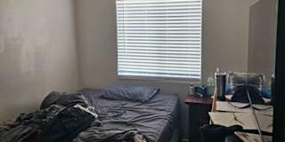 Matthew Caple's room