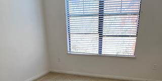 Tedd's room