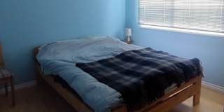 Lisa's room