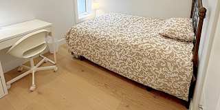 Shahram's room