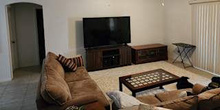 William Hamant's room