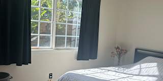 ladan Amin's room