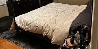 Vishva's room