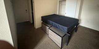 Trace Hasz's room