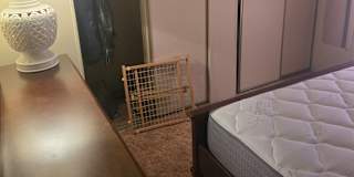 Ralph's room