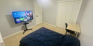 Vincent's room