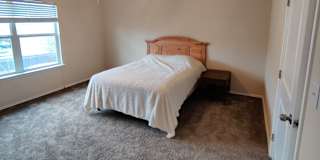 david's room