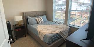 David's room