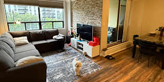 Dmitry's room