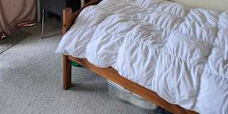 Suzanne Knight's room
