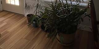 Barb's room
