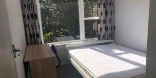 Kang's room