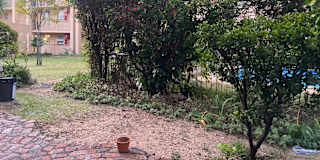 Illana's room