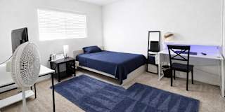 Mounir's room