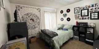 Lily's room