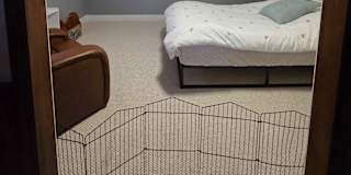 Gizella Geisler's room