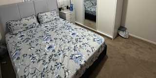 Robbie's room